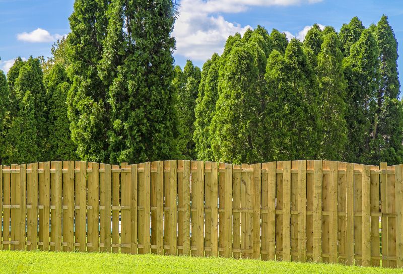 Local Privacy Fence Installation in Katy, TX