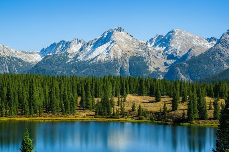 Local Handyman Repair Service in Lafayette, CO