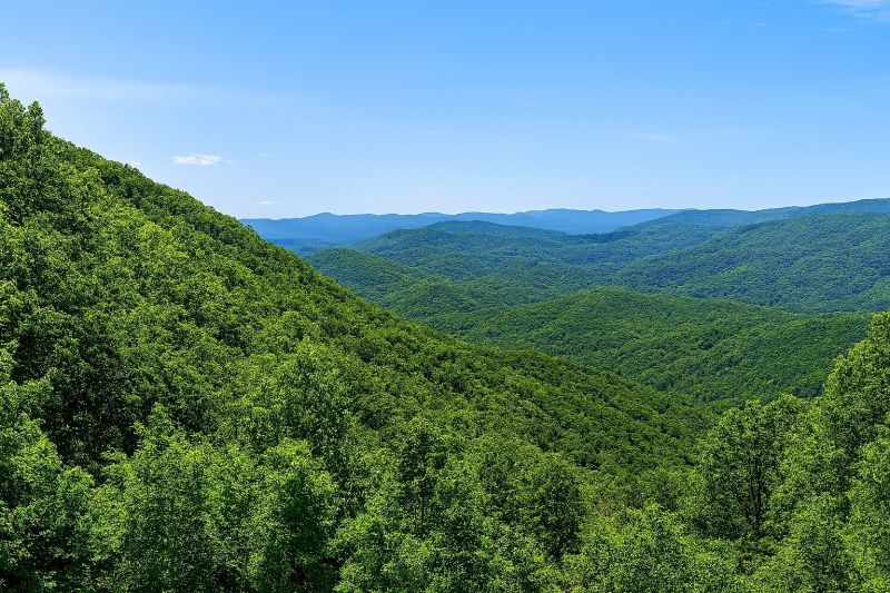 Local Privacy Fence Installation in Ellijay, GA