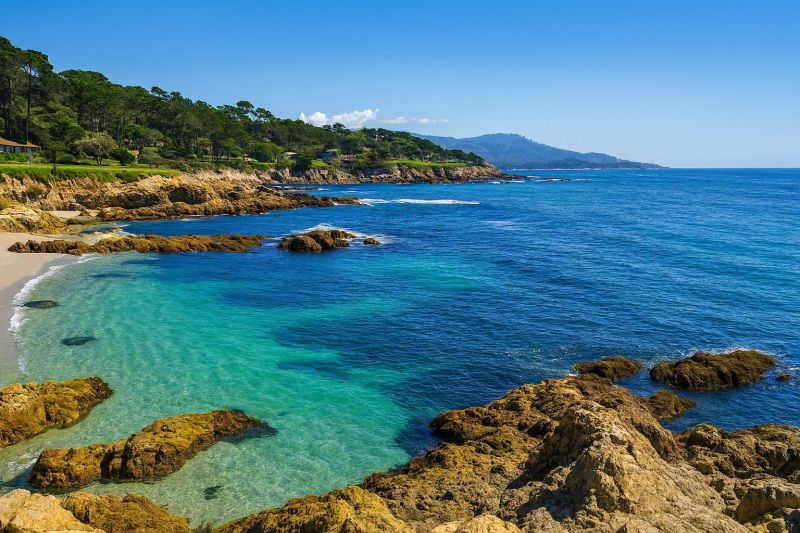 Local Privacy Fence Installation in Carmel, CA