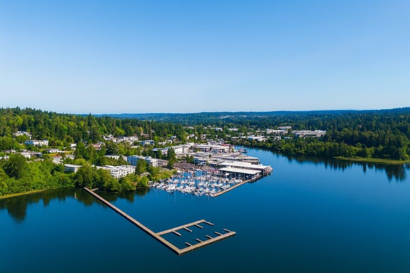 Local Privacy Fence Installation in Kenmore, WA
