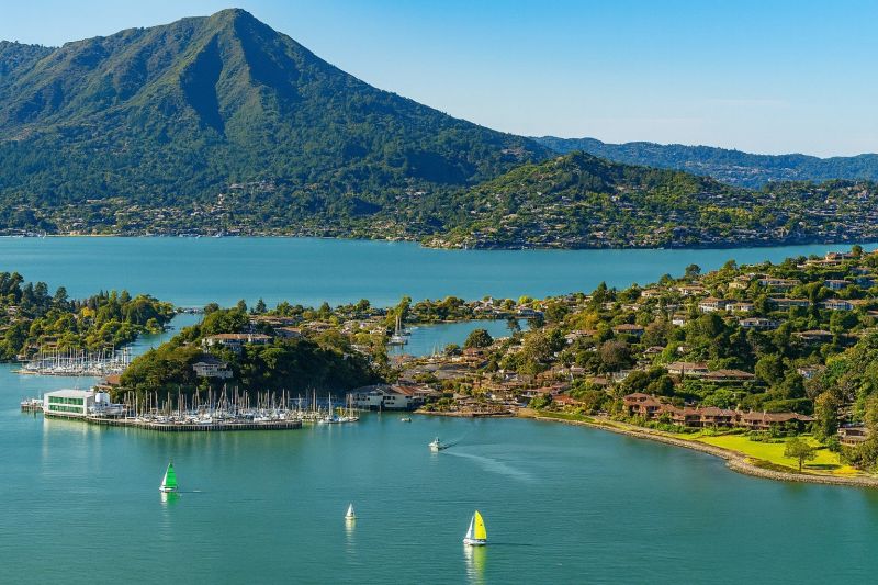Local Privacy Fence Installation in Belvedere Tiburon, CA