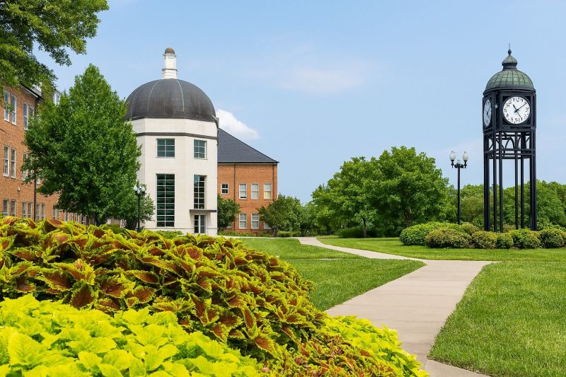 Local Privacy Fence Installation in O Fallon, MO