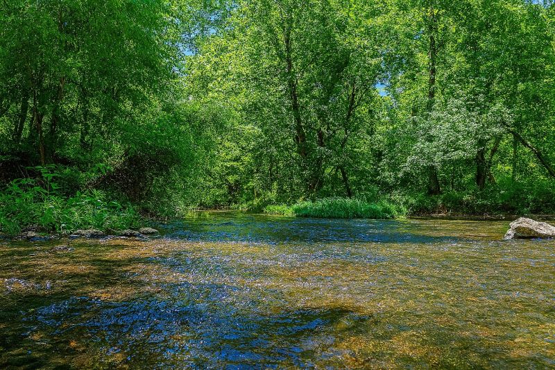 Local Privacy Fence Installation in Smyrna, TN