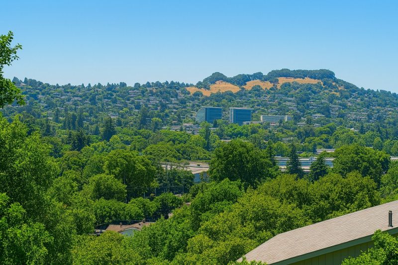 Local Privacy Fence Installation in Castro Valley, CA
