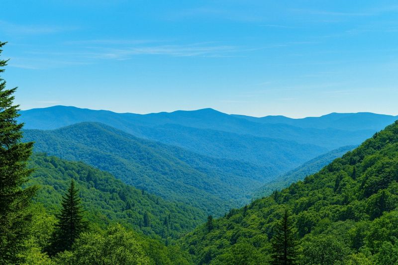 Local Privacy Fence Installation in Maggie Valley, NC