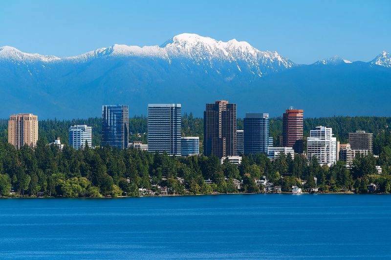Local Privacy Fence Installation in Renton, WA