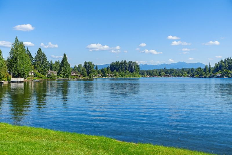 Local Privacy Fence Installation in Lake Stevens, WA