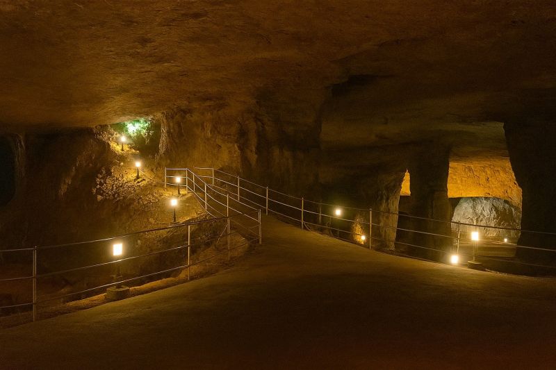 Local Privacy Fence Installation in Bonne Terre, MO
