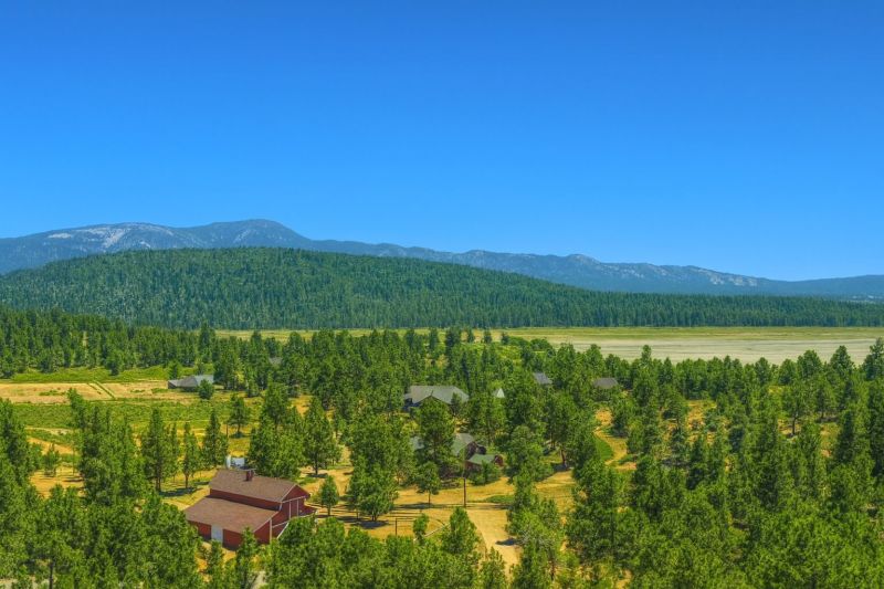 Local Privacy Fence Installation in Big Bear City, CA