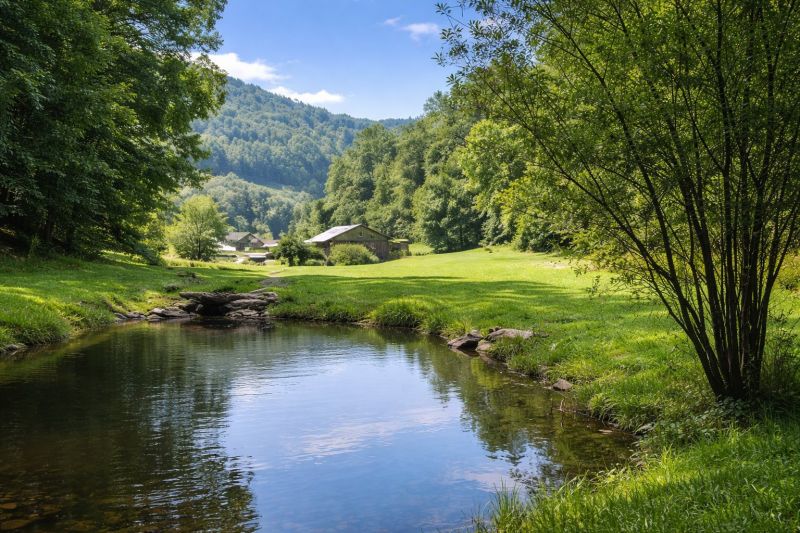 Local Privacy Fence Installation in Leicester, NC