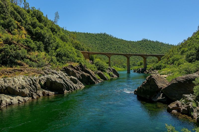 Local Privacy Fence Installation in Auburn, CA