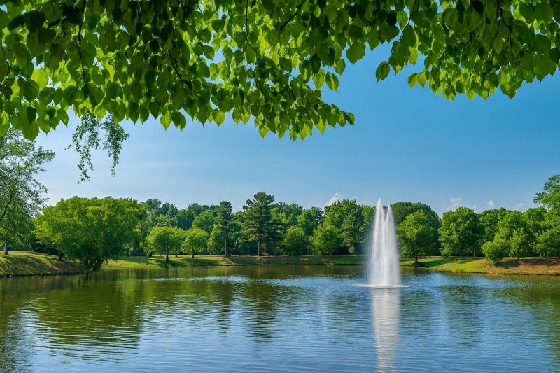 Local Privacy Fence Installation in Fairview, NC