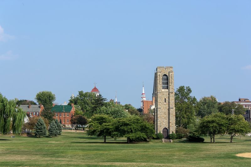 Local Privacy Fence Installation in Frederick, MD