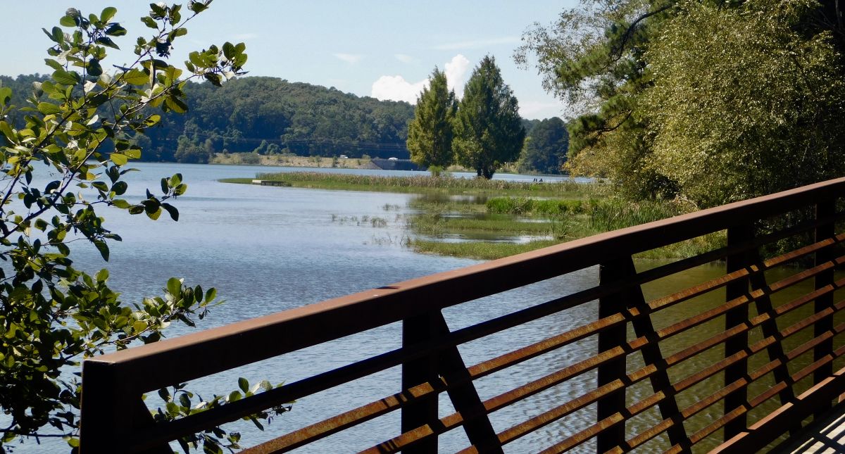 Local Privacy Fence Installation in Acworth, GA