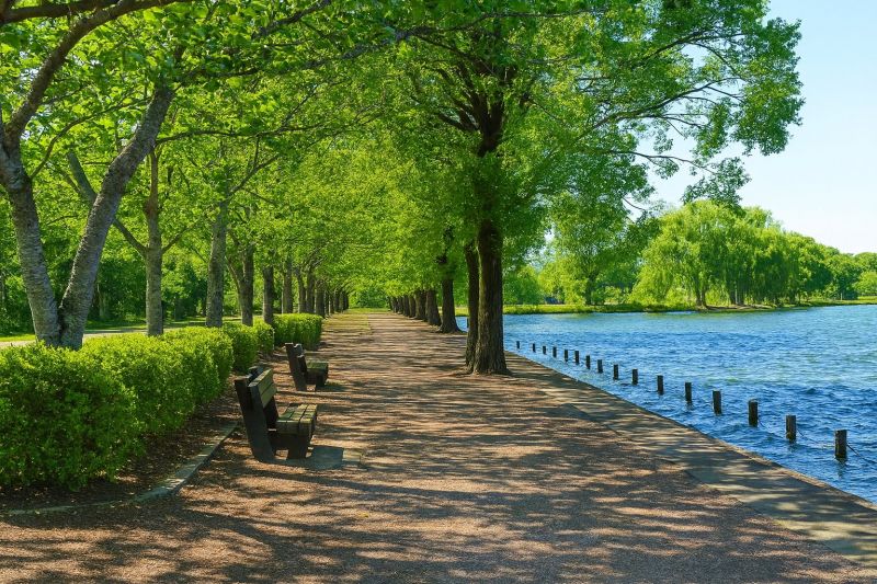 Local Privacy Fence Installation in High Ridge, MO