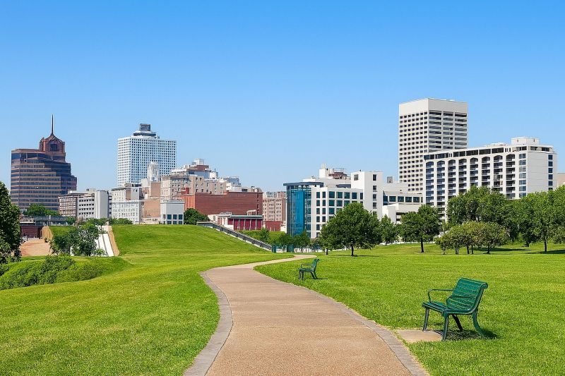 Local Privacy Fence Installation in Millington, TN